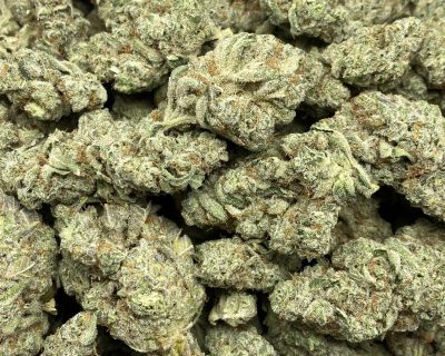 TANGIE COOKIES (EXOTIC SATIVA DEAL) - Image 2